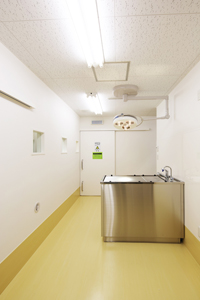 埼玉県さいたま市　テナント動物病院　処置室
